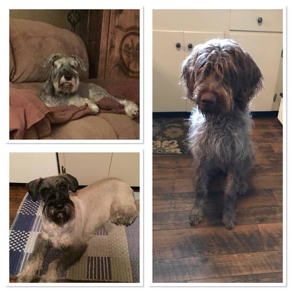 Meet your Posher, Sally - Picture 1 of 1